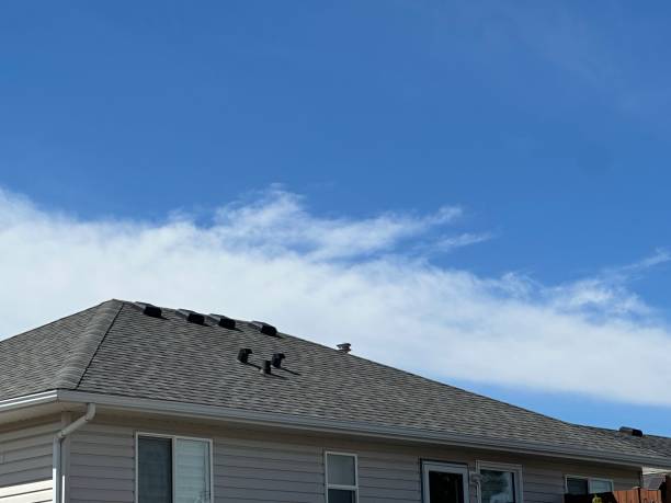 Best Gutter Installation and Repair  in Mount Carmel, OH